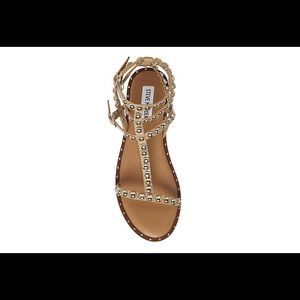 STEVE MADDEN WOMENS TASHIA GLADIATOR SANDAL - TAN sz 6 wore 3x